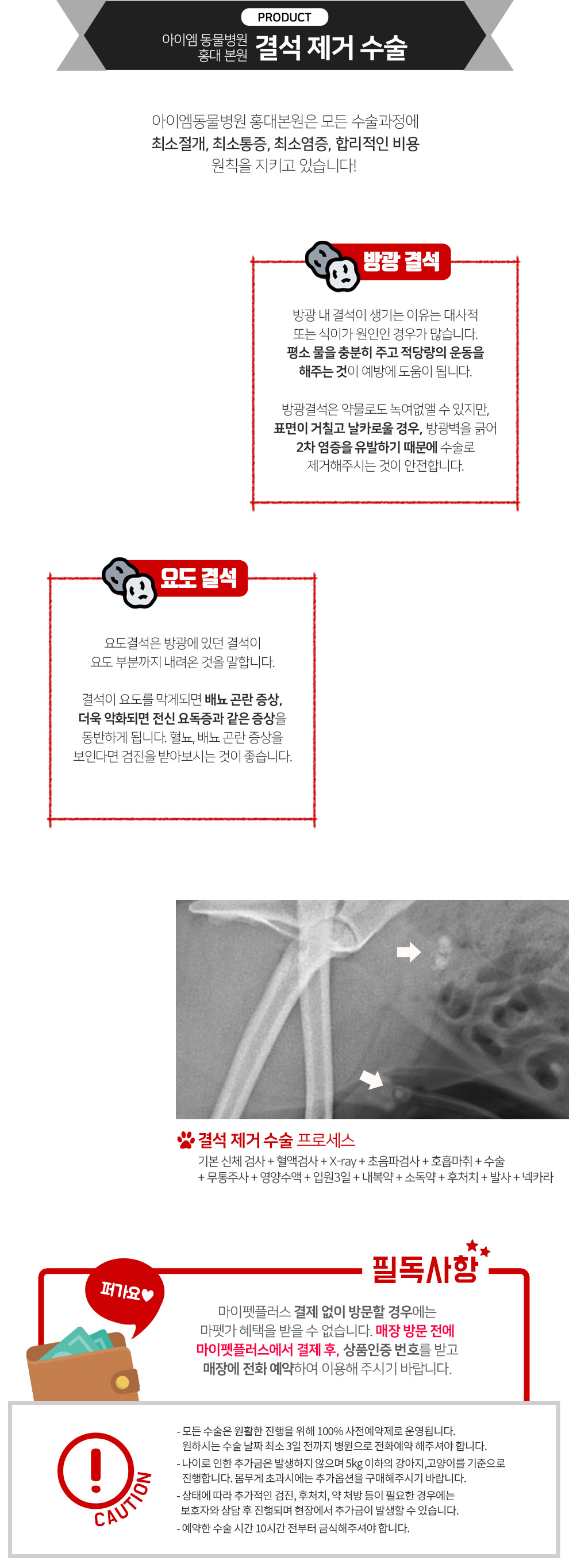 반려견·반려묘 방광 결석 제거 수술 | 마이펫플러스 반려견·반려묘 방광 결석 제거 수술 | 마이펫플러스