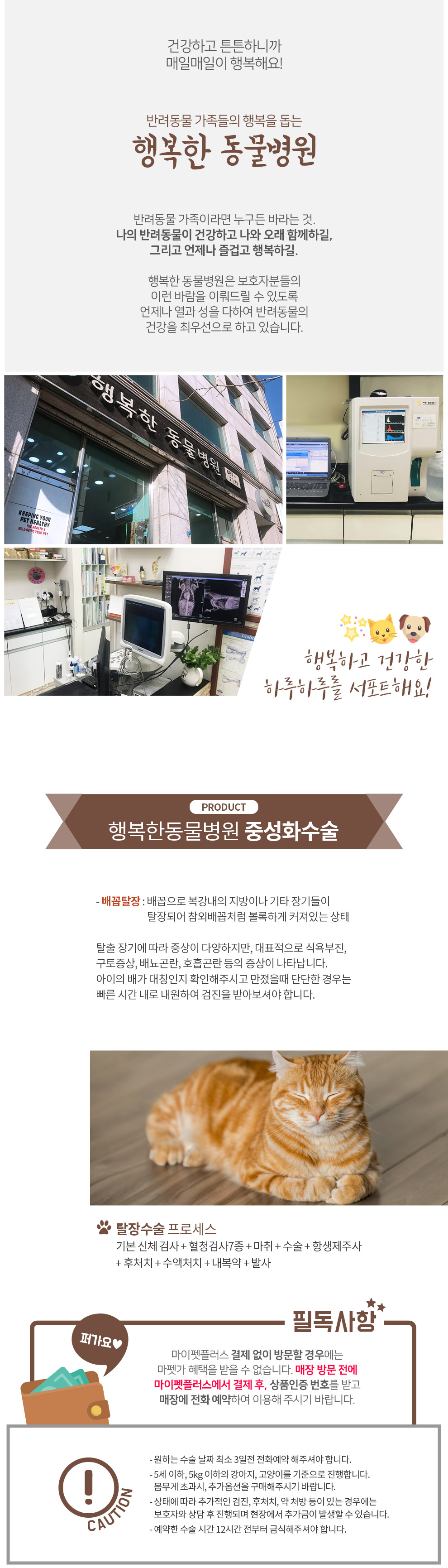 반려견·반려묘 배꼽탈장 수술 | 마이펫플러스 반려견·반려묘 배꼽탈장 수술 | 마이펫플러스